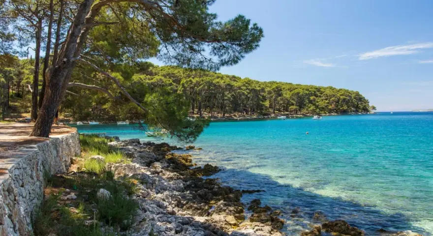Kamienista plaża z sosnami, turkusowa woda, łodzie. Idealne miejsce na relaks i fkk camping.