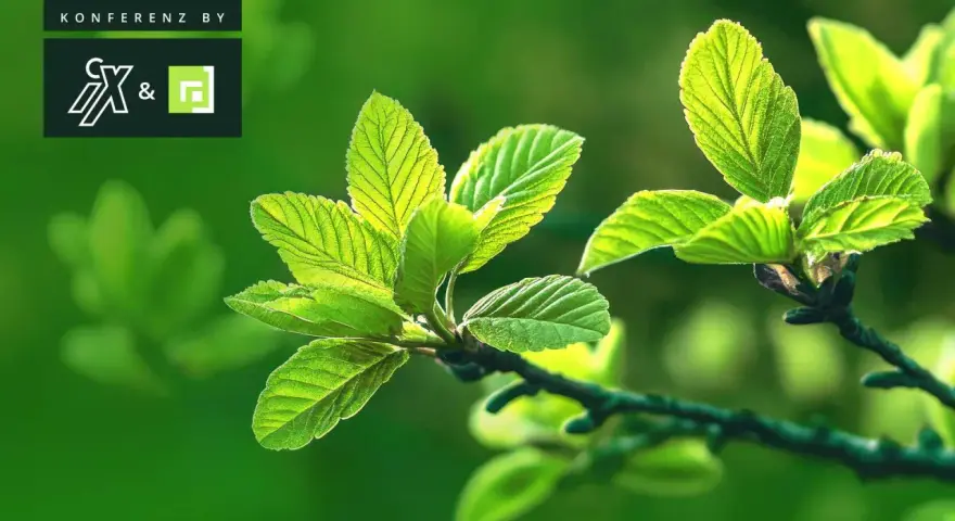 Frische grüne Blätter im Sonnenlicht, symbolisch für das Erwachen im Frühling. Konferenz by CX&.