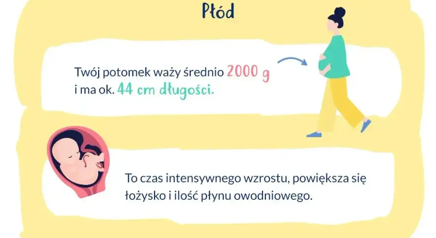 33 tydzień ciąży który to miesiąc? Płód waży ok. 2000g i ma 44cm. To czas intensywnego wzrostu.