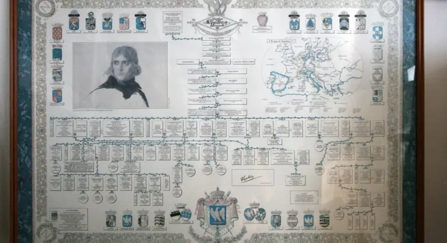 Arbre généalogique détaillé de la famille Bonaparte, incluant un portrait de Napoléon et une carte de l'Europe. Ces archives napoléoniennes numérisées offrent un aperçu fascinant de l'histoire familiale.