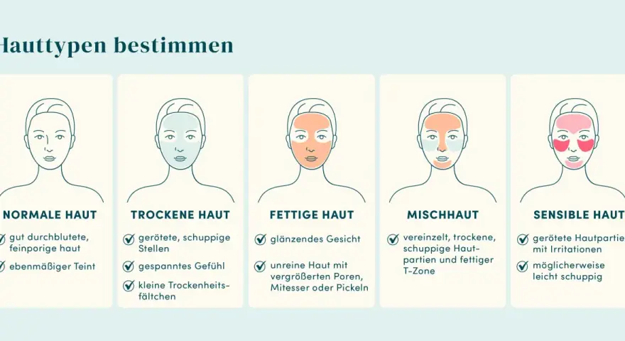 Illustrationen helfen, den Hauttyp zu bestimmen: normale, trockene, fettige, Mischhaut und sensible Haut.