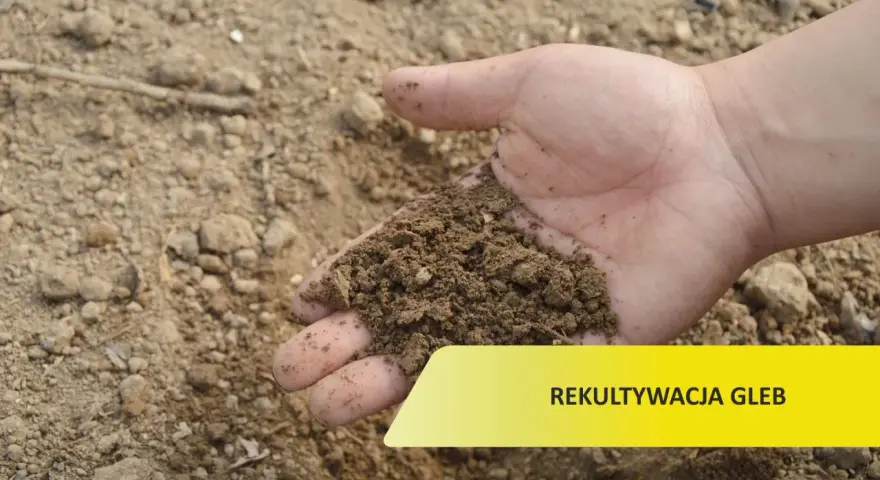 Dłoń trzyma żyzną ziemię, symbolizującą przywrócenie gruntu do produkcji rolnej. Rekultywacja gleb to klucz do urodzaju.