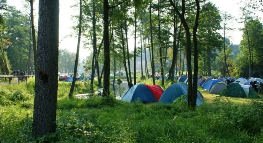 Kolorowe namioty rozstawione na trawie tworzą malownicze pole namiotowe w Świętokrzyskiem, otoczone zielenią i drzewami.