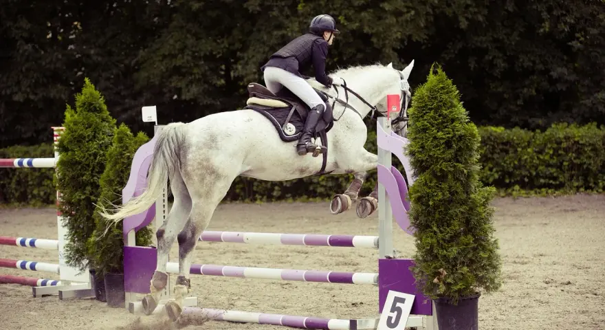 Un cavalier et un jeune cheval blanc sautent un obstacle lors d'une compétition équestre.