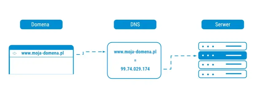 Hosting i domena: Fundamenty strony. Jak to działa?