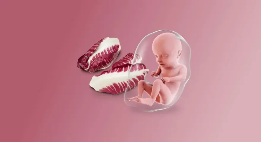 Feto a 25 settimane di gravidanza, accanto a foglie di radicchio.