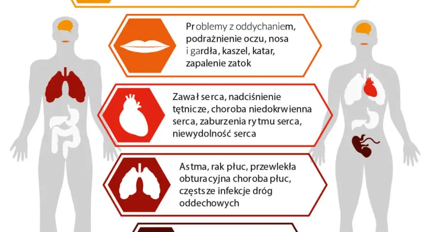 Przyczyna zanieczyszczenia środowiska: co naprawdę nas zagraża?