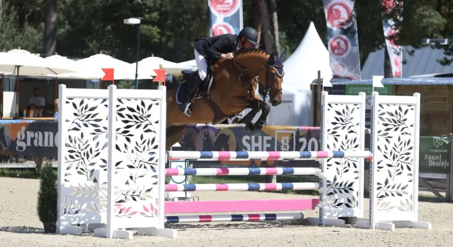 Un cheval de selle français normand saute un obstacle. L'élevage de chevaux de selle français en Normandie est réputé pour la qualité de ses athlètes équestres.
