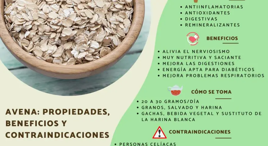 Avena: sus propiedades antiinflamatorias, antioxidantes y digestivas. Beneficios y cómo consumirla.
