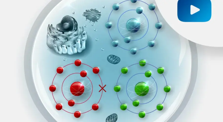 Komórka z organellami i atomami. Czerwone atomy symbolizują stres oksydacyjny, zielone i niebieskie zdrowe.