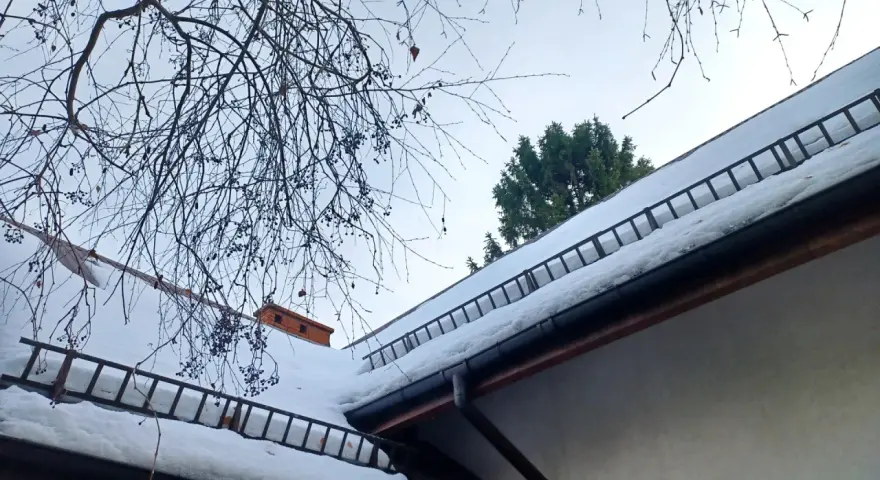 Dach stromy pokryty śniegiem, z drabinkami zabezpieczającymi przed lawinami. Gałęzie drzew wiszą nad nim.