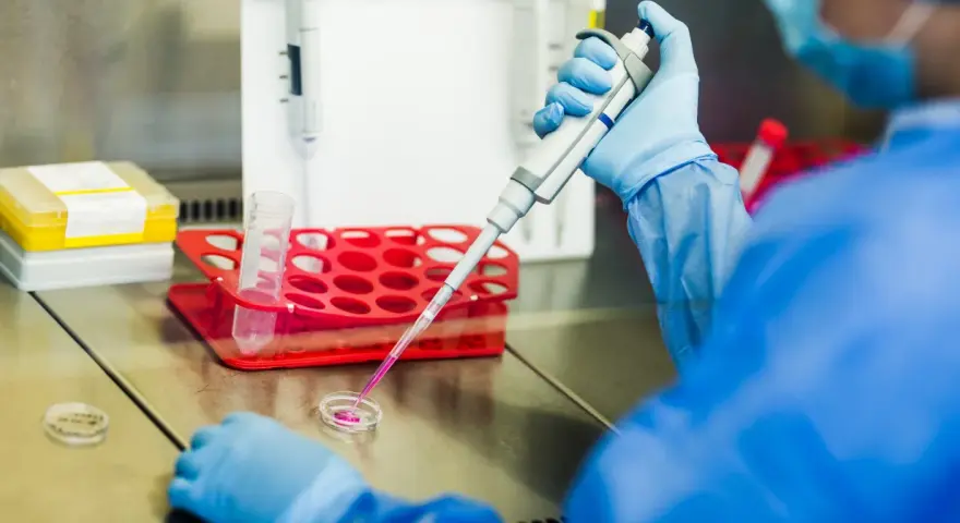 Naukowczyni w niebieskim fartuchu pobiera pipetą próbkę, która może być cenną **krwią pępowinową**, do dalszych badań laboratoryjnych.
