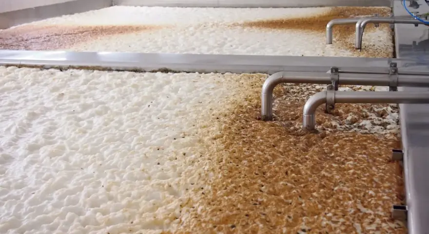 Piana i osad w kadziach fermentacyjnych, gdzie trwa warzenie piwa w domu. Metalowe rury doprowadzają składniki.