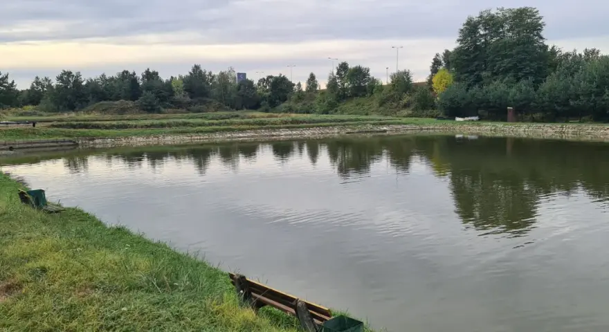 Spokojne łowiska komercyjne na Dolnym Śląsku, otoczone zielenią i drzewami, zapraszają na relaks nad wodą.