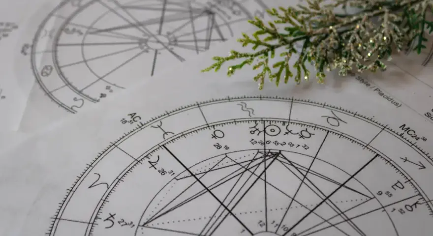 Dwa kosmogramy astrologii wedyjskiej leżą obok siebie, ozdobione gałązką iglastą.
