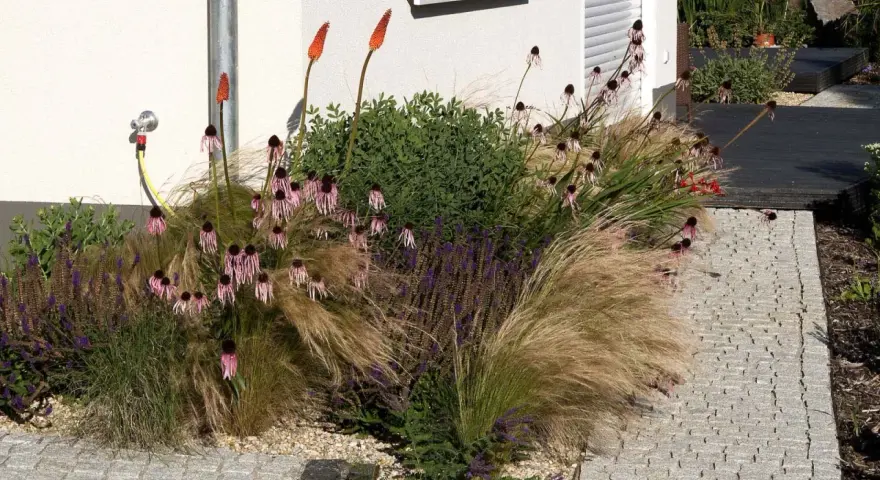 Blumenbeet an Hauswand: Feuchtigkeit durch Wasserhahn und Bewässerungssystem. Ziergräser, Sonnenhut und Fackellilien blühen üppig.