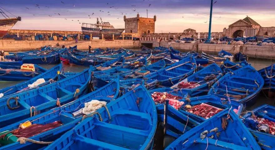 Port w Maroku, pełen błękitnych łodzi rybackich, z twierdzą w tle. Idealna pogoda na wrzesień, by podziwiać zachód słońca nad Atlantykiem.