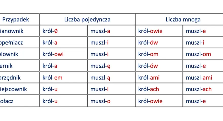 Tabela pokazuje odmiana przez przypadki słów "król" i "muszla" w liczbie pojedynczej i mnogiej.
