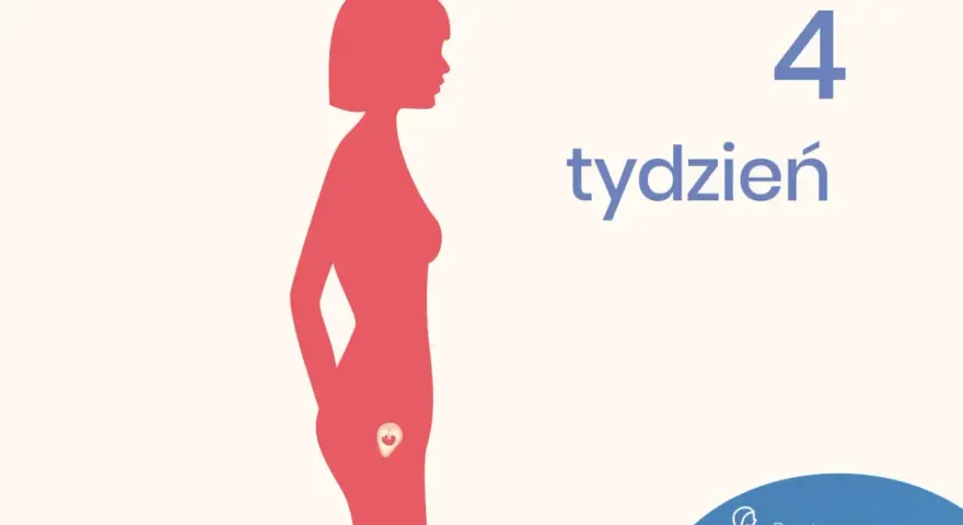 Sylwetka kobiety z zaznaczonym zarodkiem w macicy. Obok widnieje napis "4 tydzień ciąży".
