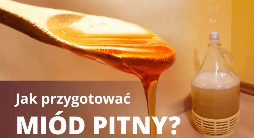 Jak przygotować miód pitny? Złocisty miód spływa z łyżki, obok fermentuje w balonie.