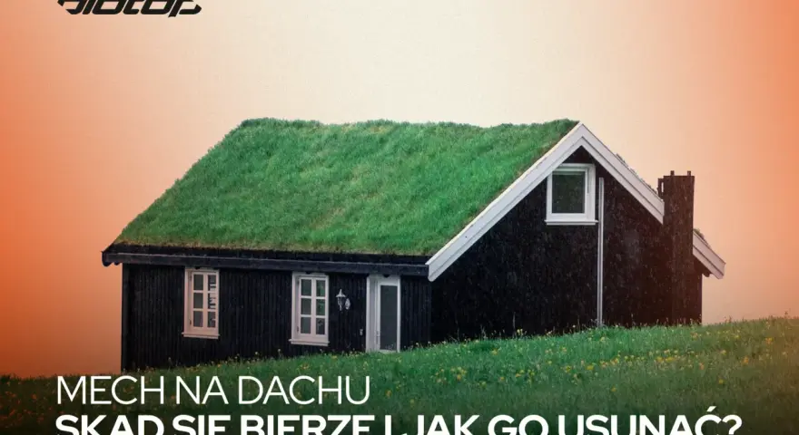 Zielony mech porasta dach małego, czarnego domku. Tekst pyta: "Mech na dachu: skąd się bierze i jak go usunąć?".