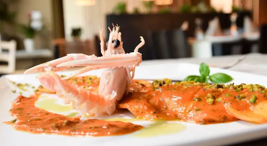 Moi Moi Gastronomia Salentina Torino: Sapori Autentici & Recensioni