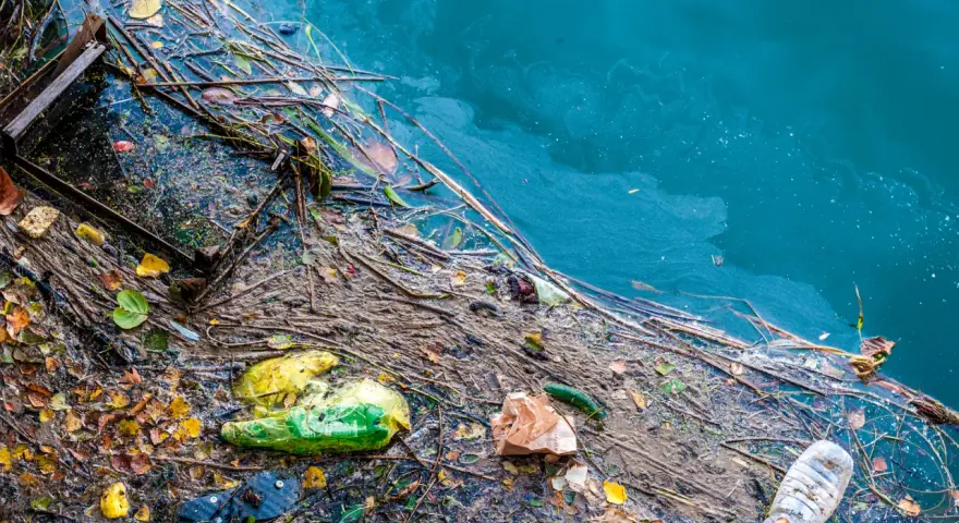 Plastikowe butelki, torby i śmieci unoszą się na wodzie, ilustrując przyczyny zanieczyszczenia Bałtyku.