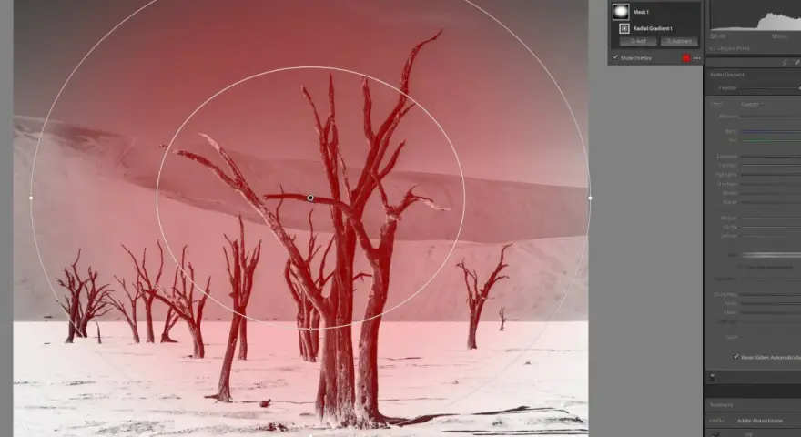 Arbres morts dans un désert, avec un filtre radial lightroom appliqué pour un effet dramatique.