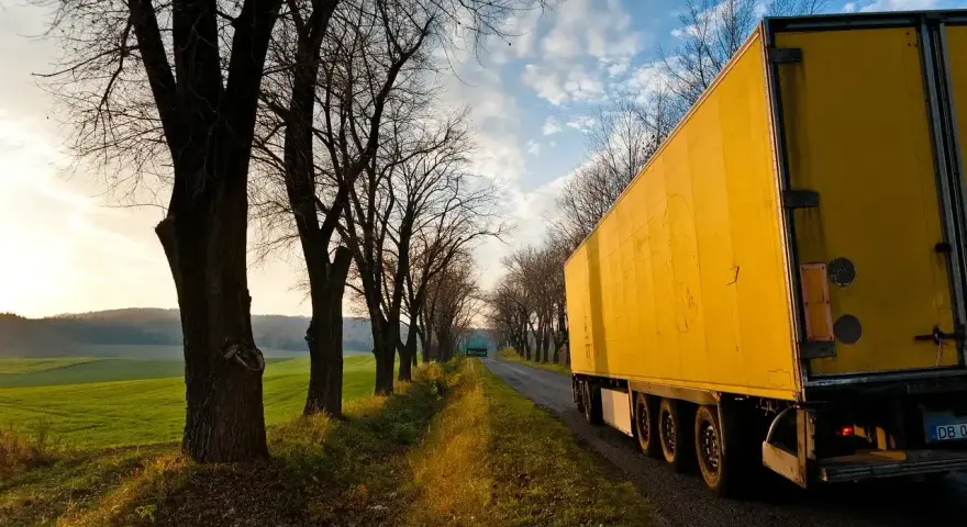 Żółta naczepa tira jedzie aleją drzew. Widać jej wysokość i szerokość.