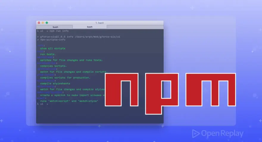 npm-Skripte im Terminal, die mit `npm ci` oder `npm run` ausgeführt werden. Das npm-Logo ist prominent platziert.