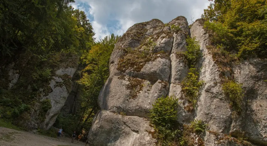 Imponujące ostańce skalne porośnięte mchem i zielenią, otoczone drzewami. W dole ścieżka, po której spaceruje kilka osób.