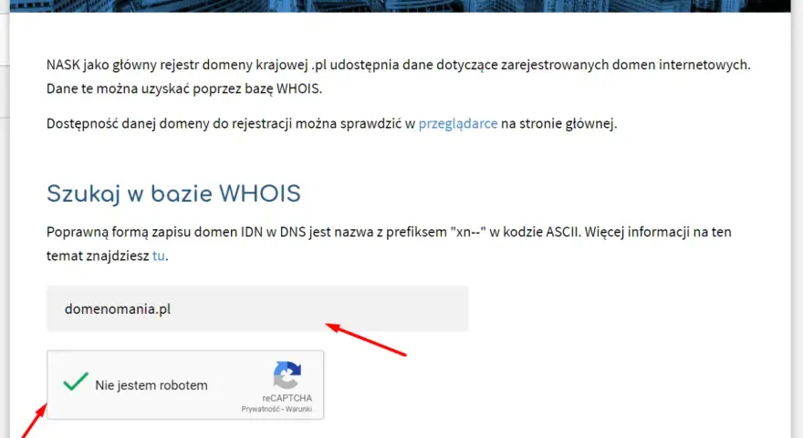 Jak sprawdzić właściciela domeny mimo RODO? Pełny poradnik