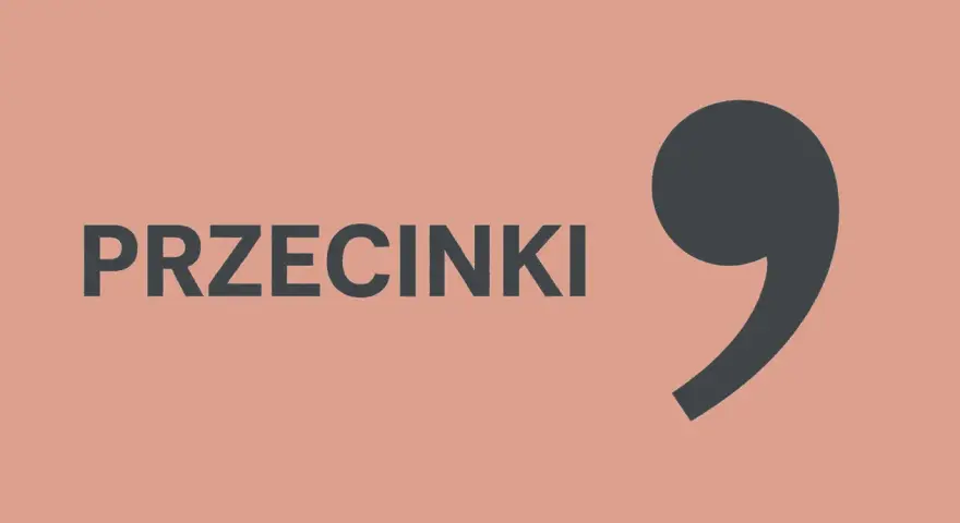 Duży, ciemnoszary przecinek obok napisu "PRZECINKI".