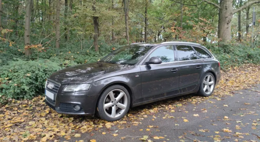Dunkelgrauer Audi A4 Avant 2008 parkt im Herbstwald, umgeben von Laub.