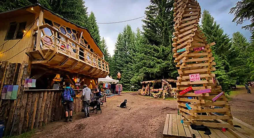 Drewniany domek na drzewie i spiralna rzeźba z desek na festiwalu Grasz Bór. Ludzie spacerują, psy odpoczywają.