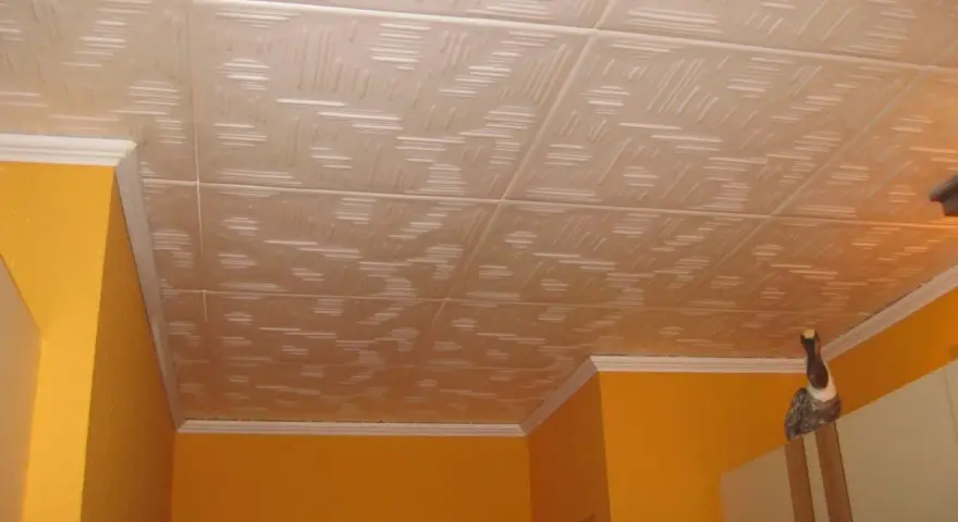 Soffitto con pannelli in polistirolo decorati, un esempio di come montare pannelli polistirolo soffitto per un look moderno.