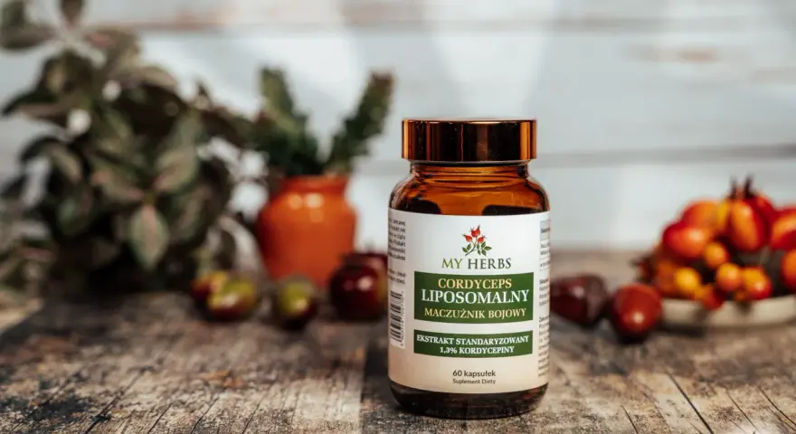 Suplement diety z maczużnikiem bojowym. Cordyceps co to? To ekstrakt standaryzowany na 1,3% kordycepiny w kapsułkach.
