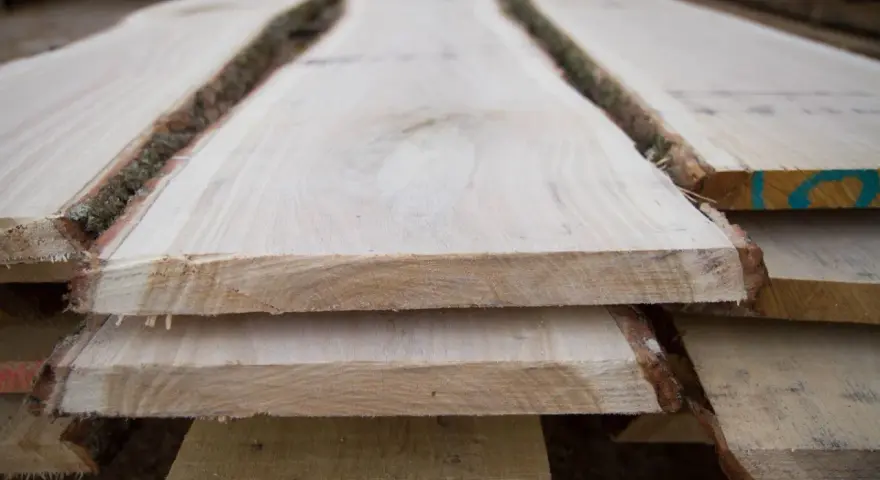 Tavole di legno grezzo impilate, con la corteccia ancora presente, pronte per il processo di stagionatura che ne assicura la durabilità.