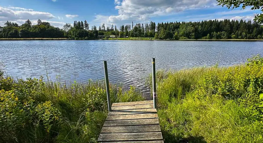 Holzsteg führt zu einem ruhigen Badesee im Harz, umgeben von grünen Ufern und Bäumen unter blauem Himmel mit Wolken.