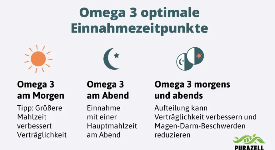 Omega 3 optimale Einnahmezeitpunkte: morgens zur größeren Mahlzeit, abends zur Hauptmahlzeit oder aufgeteilt für bessere Verträglichkeit.