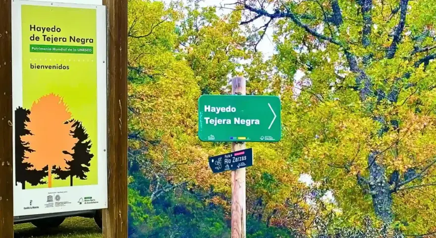 Cartel de bienvenida al Hayedo de Tejera Negra, Patrimonio Mundial de la UNESCO. Señalización de senderos en un bosque otoñal.