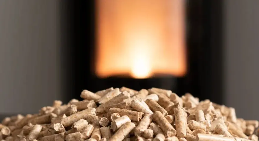 Un mucchio di pellet, combustibile ecologico, pronto per alimentare un fuoco caldo. Il pellet a cosa serve? A riscaldare le case in modo sostenibile.