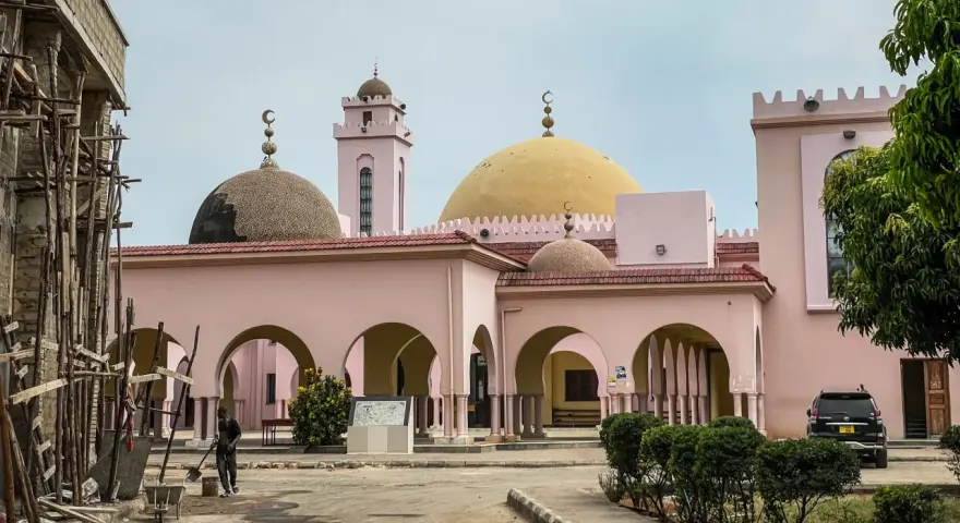 Różowa budowla z kopułami i minaretem, przypominająca meczet, w stolicy Tanzanii. Obok plac budowy.