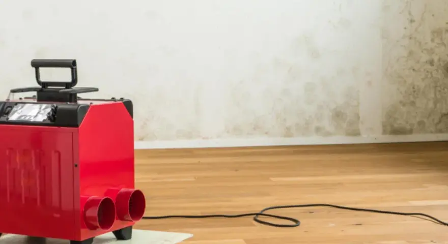 Roter Bautrockner im Einsatz gegen Wasserschaden. Die Wand zeigt deutliche Spuren von Feuchtigkeit und Schimmel.