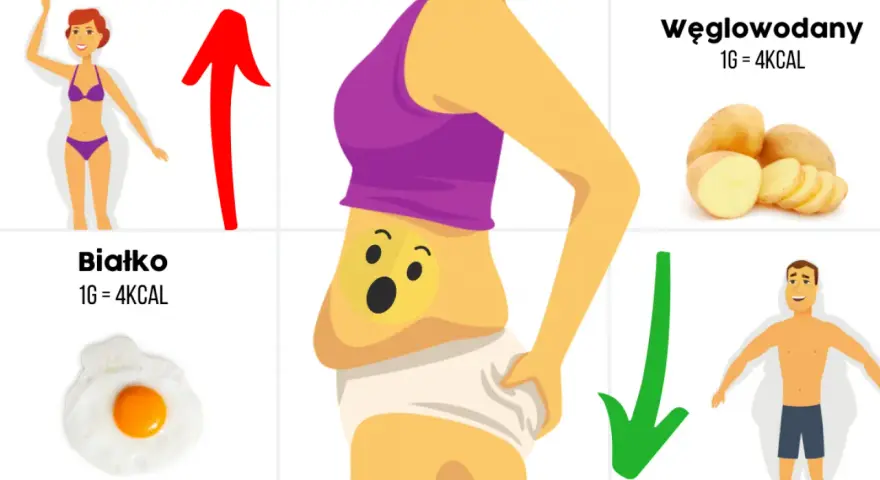 Dieta redukcyjna – co to jest i jak skutecznie schudnąć?