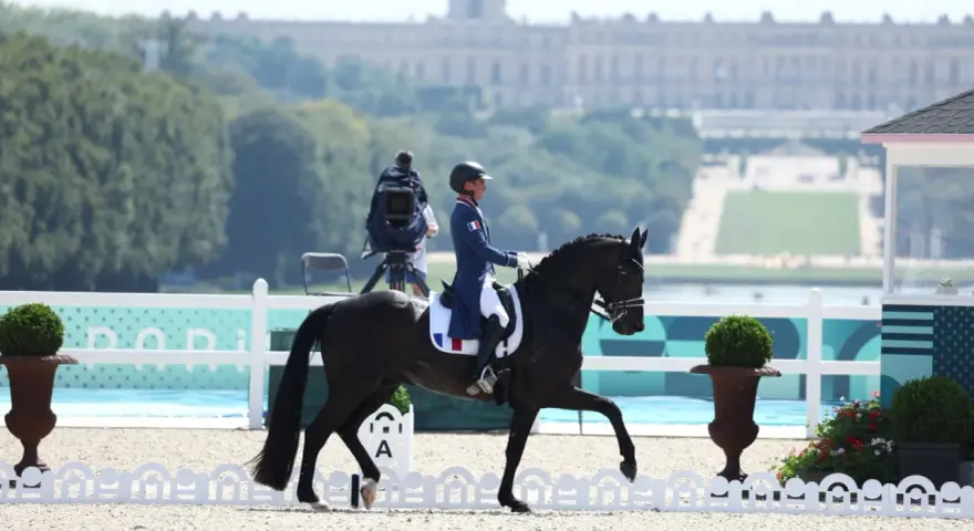 Un cavalier dressage français, en tenue bleue et blanche, monte un cheval noir dans une carrière. Le château de Versailles est visible en arrière-plan.