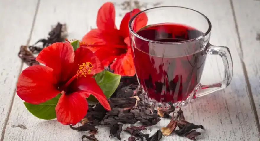 Herbata z hibiskusa: Parzenie, właściwości i przepisy na każdą porę