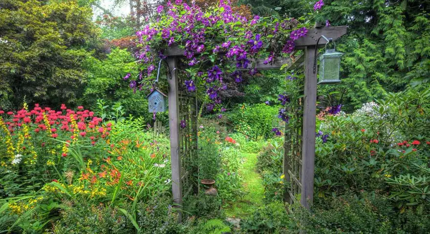 Ein Holzbogen, üppig mit lila Clematis bewachsen, markiert den Eingang zu einem blühenden Garten. Ein Vogelhaus und eine Laterne zieren den Bogen.