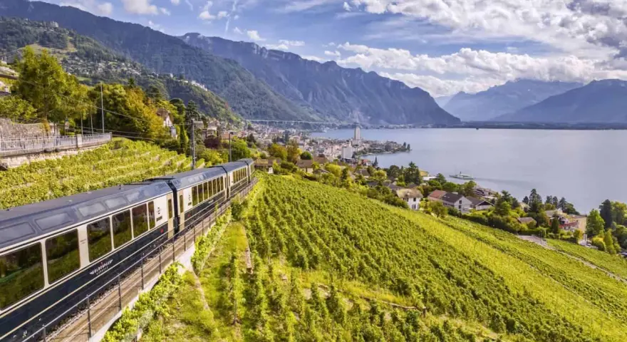 A train travels through lush vineyards overlooking a lake and mountains, part of the scenic Golden Pass Montreux to Interlaken route.