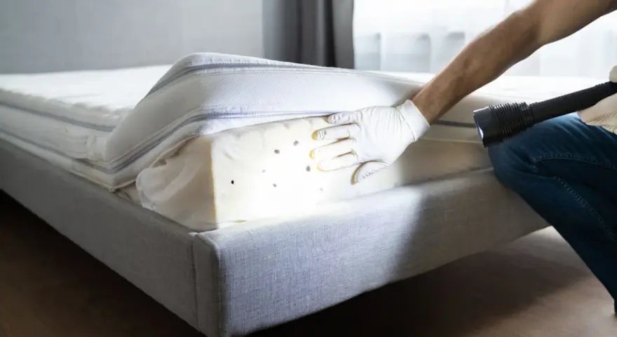 Persona con guantes revisa un colchón con linterna, detectando chinches. Esencial para el control de plagas de chinches y un hogar saludable.